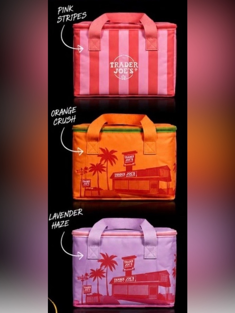 3 Trader Joe’s mini insulated totes